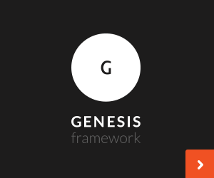 Genesis Framework from Studiopress Review